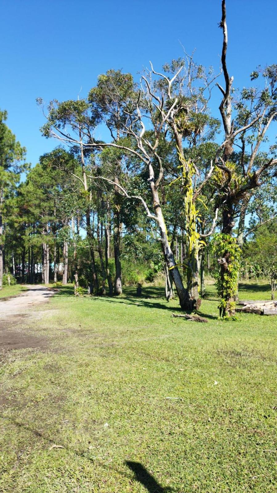Guarda do EmbaúMorada Fenix住宿加早餐旅馆 外观 照片
