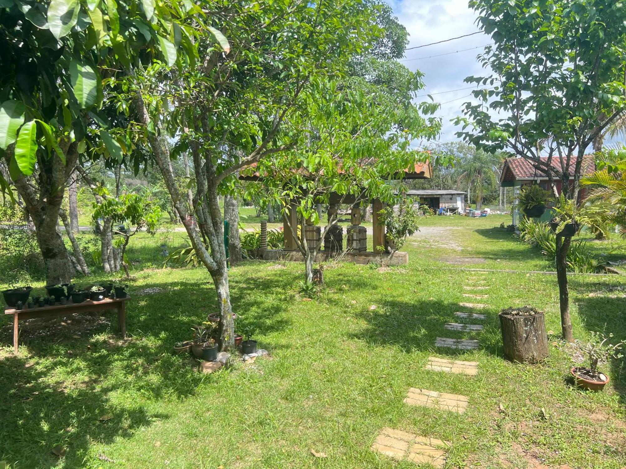 Guarda do EmbaúMorada Fenix住宿加早餐旅馆 外观 照片