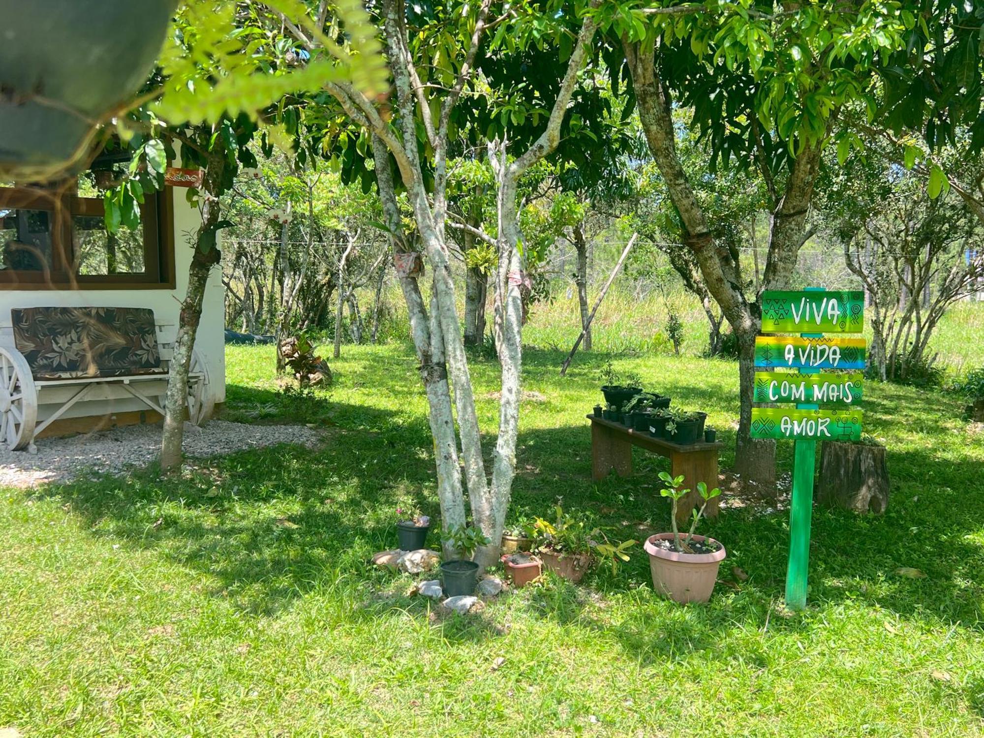 Guarda do EmbaúMorada Fenix住宿加早餐旅馆 外观 照片